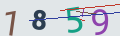 verifycode